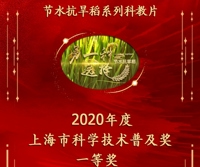 节水抗旱稻科教片荣获2020年度上海市科学技术普及奖一等奖