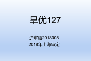 旱优127