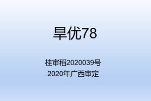 旱优78