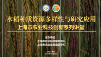 “水稻种质资源多样性与研究应用” ——上海市农业科技创新系列讲堂在嘉源海美术馆举行