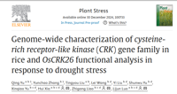 基因中心科研团队在CRK家族基因调控水稻抗旱性研究中取得新进展
