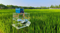 联合国审议通过“种植节水抗旱稻减少碳排放方法学”