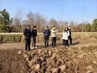 为涝洼地寻找新出路：周口市节水抗旱稻应用前景调研   